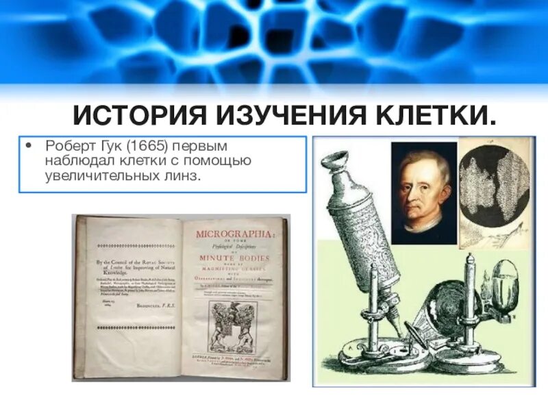 История открытия клетки таблица. История открытия клетки 10 класс биология. История открытия клетки 10 класс биология. Кто первый открыл клетку. Кто первый открыл клетку.