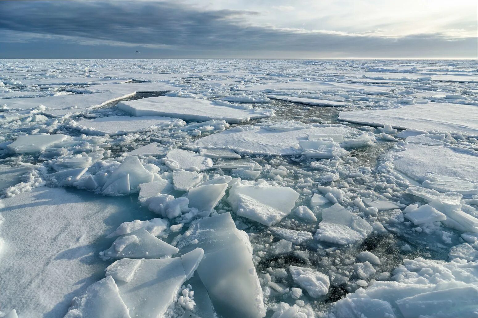 Как называется зима в арктике