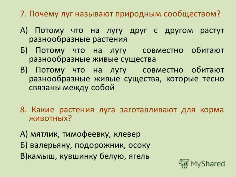 Что не является природным сообществом. Почему луг называют природным сообществом 2. Почему луг называют природным сообществом для 2 класса. Почему поле называют природным сообществом. Почему лес называют природным сообществом.