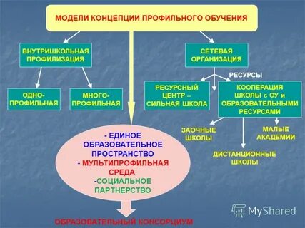 Основные направления профильного обучения
