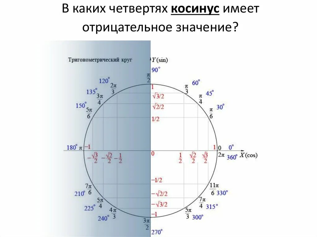 Синус альфа окружность. Единичная окружность со значениями синусов и косинусов. 1. Тригонометрический круг (в трех вариантах).. Единичная окружность тригонометрия косинус. Тригонометрический круг -3pi.