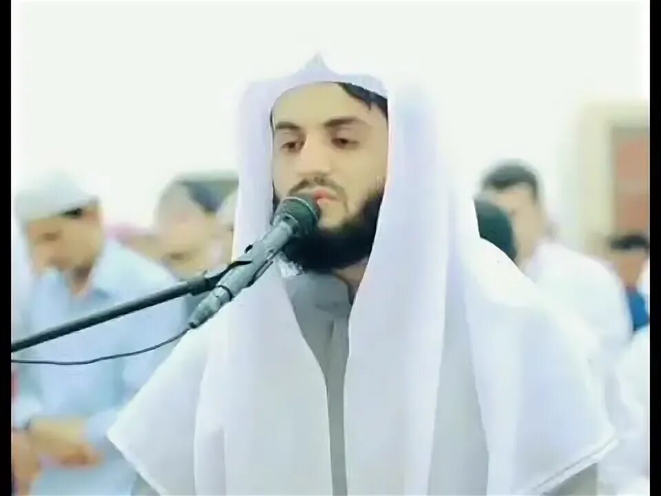 Курд мухаммад сура. Мухаммад курди. чтение корана мухаммад курди. шейх мухаммад аль курди. шейх мухаммад курди сура.
