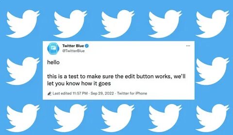 Musk to increase Twitter Blue subscription to $8, verified checkmarks will ...