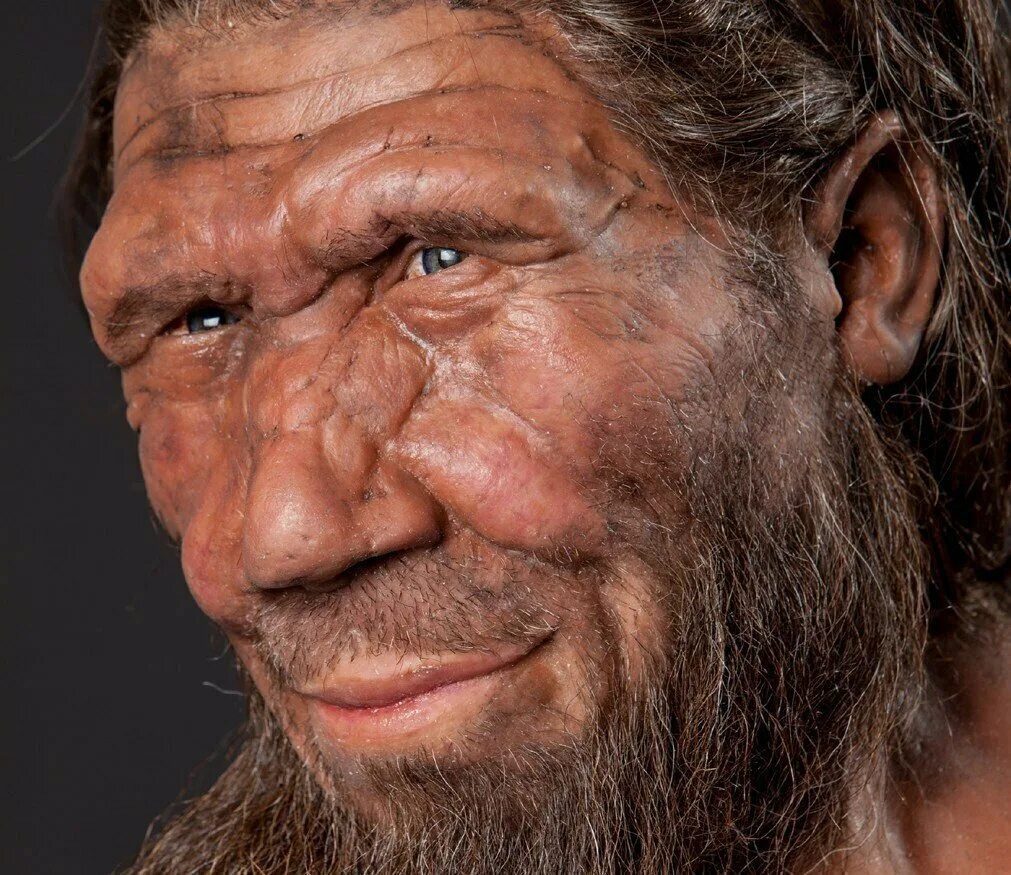 Первобытный мужчина. Кроманьонец ( homo sapiens). Неандерталец (homo Neanderthalensis). Хомо сапиенс Денисовский человек неандерталец.
