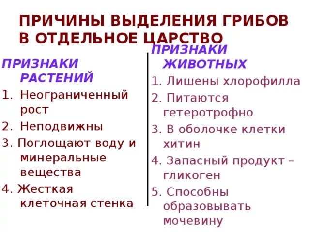 Растительные признаки грибов. Царство животные признаки. Признаки растений и животных у грибов. Признаки растений. Признаки царства растений.