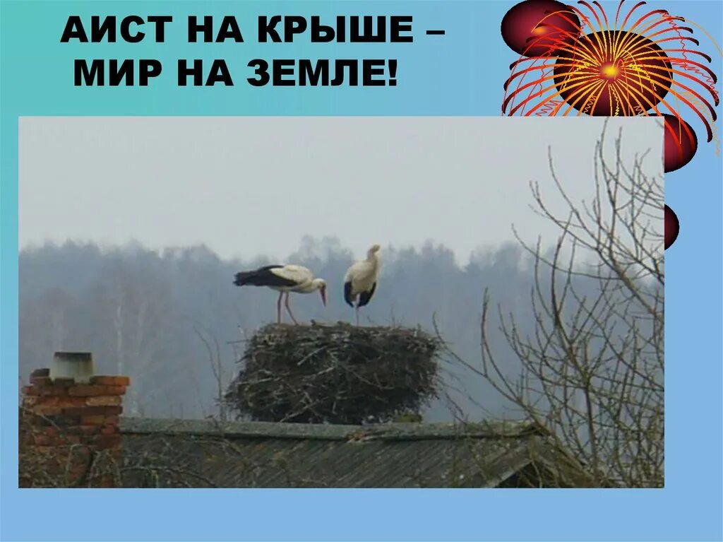 Песня аист на крыше караоке. Аист на крыше мир на земле. Аисты на крыше. Люди потише Аист на крыше. Аист на крыше рисунок.