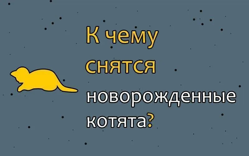 Приснился котёнок к чему. К чему снятся котята во сне. Котята приснились во сне к чему женщине. Котята во сне для женщины к чему снится. Сонник видеть котят