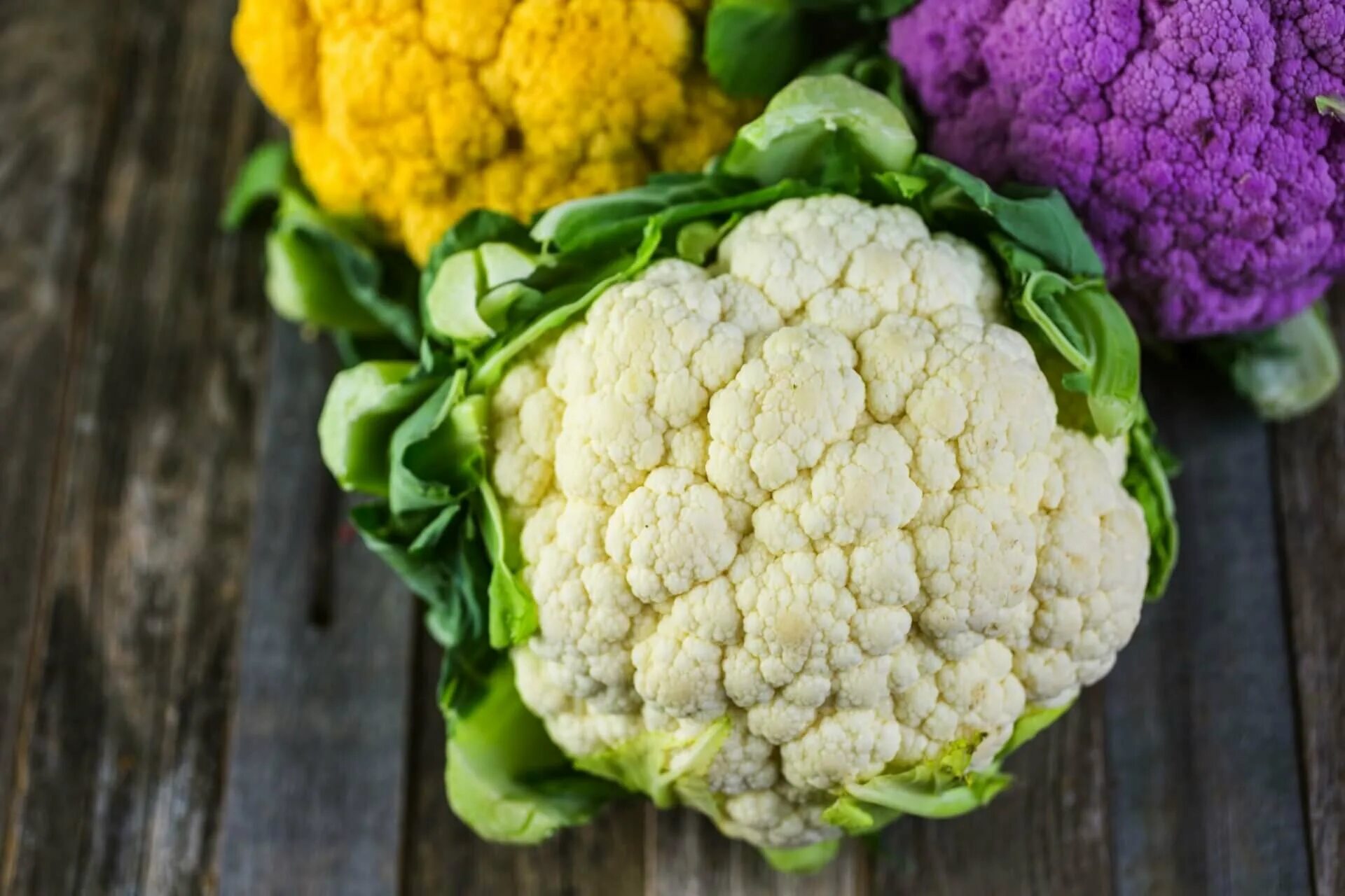 калабрийская брокколи. цветная капуста крестоцветные. крестоцветные брокколи. капуста белокочанная кольраби брокколи. капуста гудман.