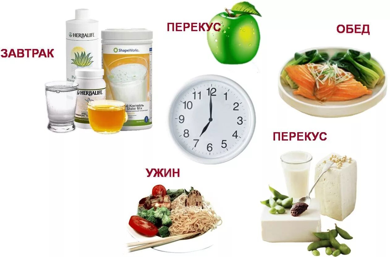 Питание через 4 часа