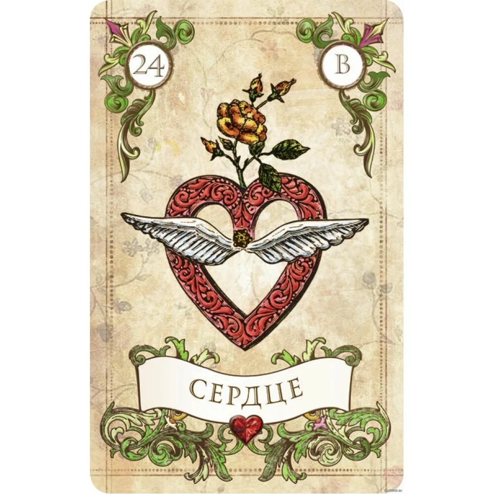 Оракул судьбы. Карта таро сердце ленорман. Оракул сердца и судьбы. Оракул сердца и судьбы. Оракул сердца и судьбы.