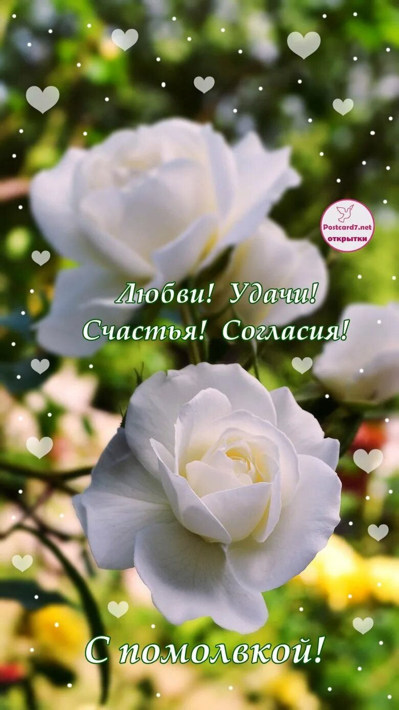 Поздравляю с предложением руки и сердца. Поздравляем с помолвкой открытки. С годовщиной помолвки. Открытки с годовщиной помолвки. Поздравление с обручением пожелания.