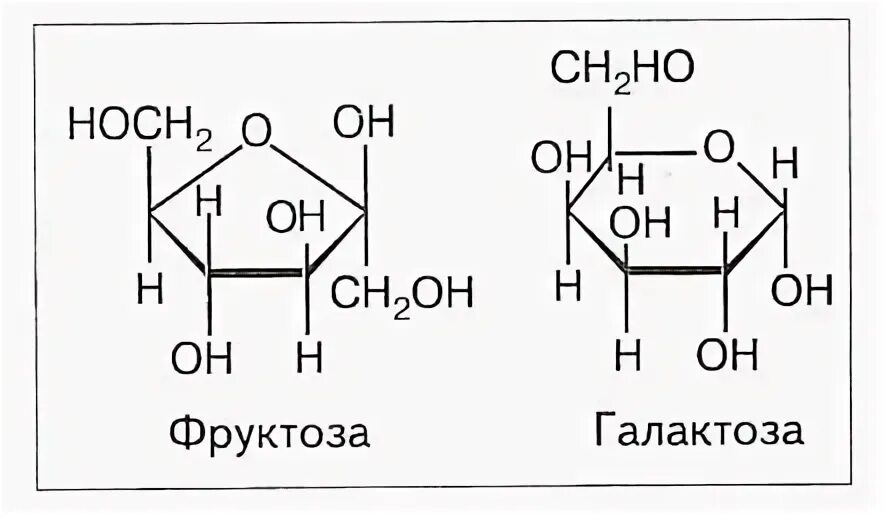 Галактоза биохимия формула. Гликолипиды формула биохимия. Химическая формула молока. Альфа д галактоза формула. D галактоза.
