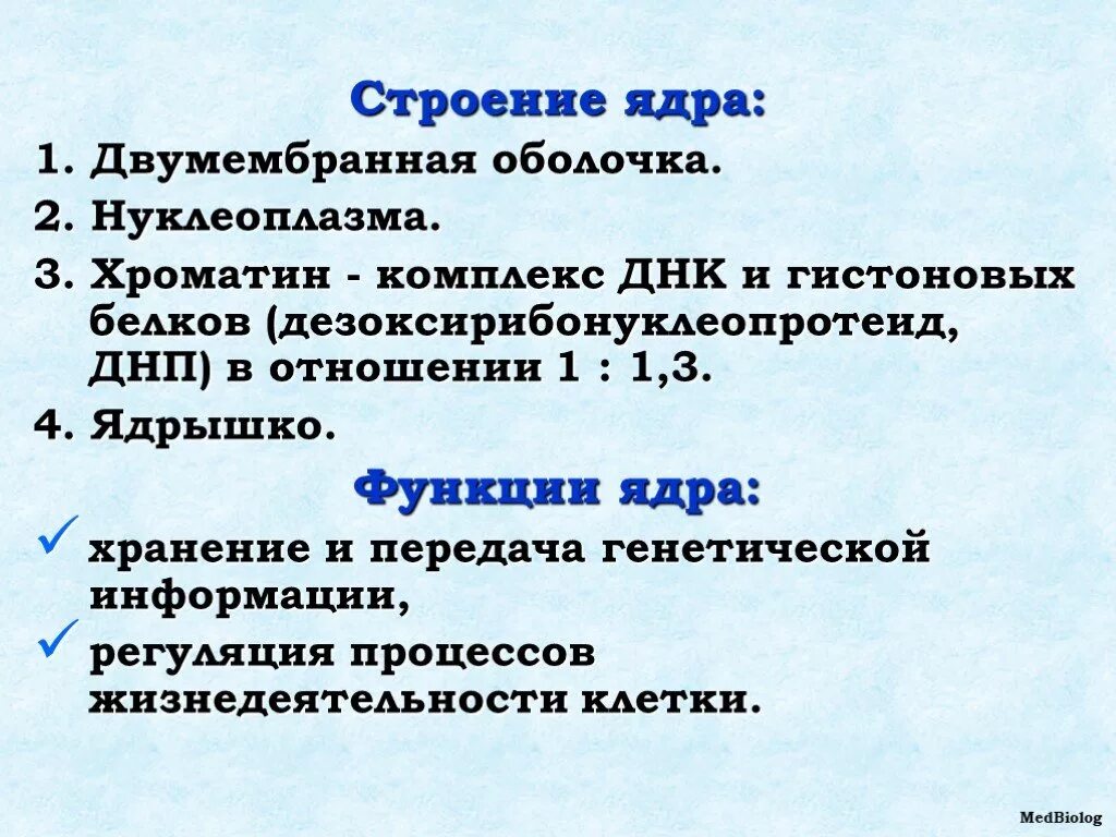Строение и функции ядра тест. Нуклеоплазма это в биологии. дезоксирибонуклеопротеид строение. функции ядра. ядро хранение днк формирование секрета желез.