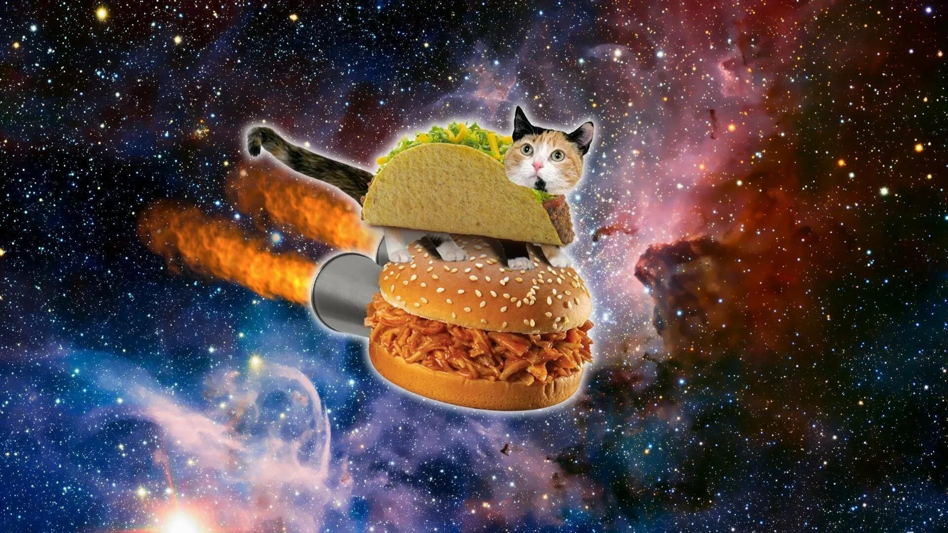 Космический кот. Кот в космосе. Кот с бургером в космосе. Кот на бутерброде в космосе.