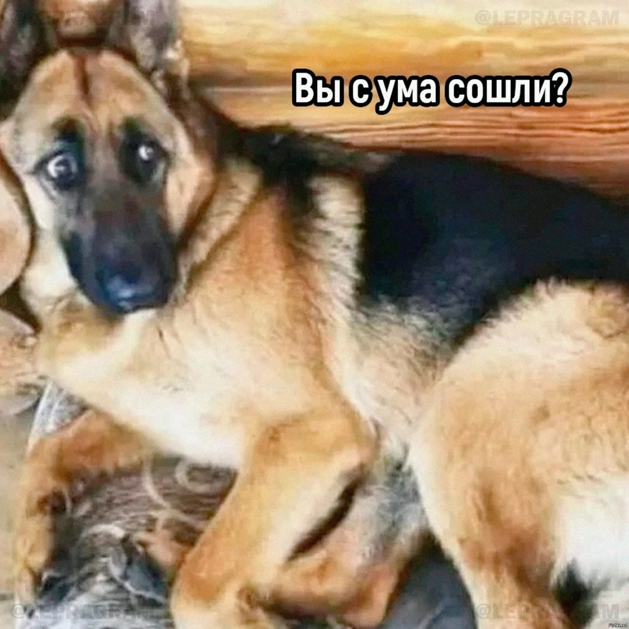 Тут вижу тут не вижу. Тут вижу тут не вижу