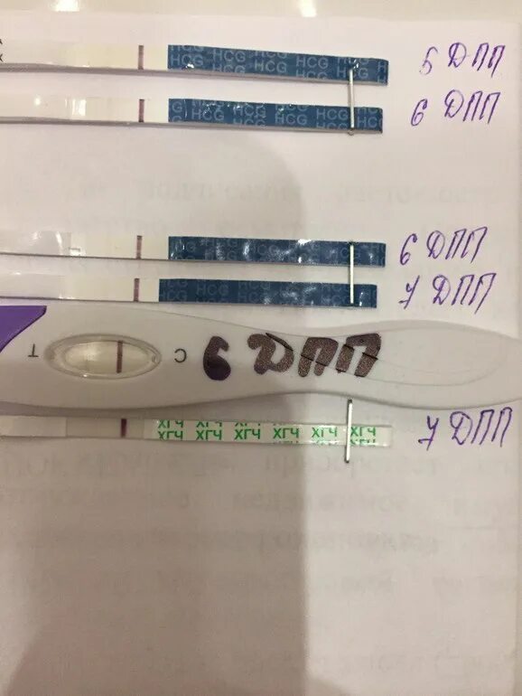 После криопереноса тянет низ. Клеар Блю на 5 ДПП. Тест клеар Блю на 7 ДПП. 5 ДПП тест. Болит низ живота после переноса эмбрионов.