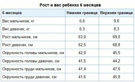 Регистрация 6 месяцев
