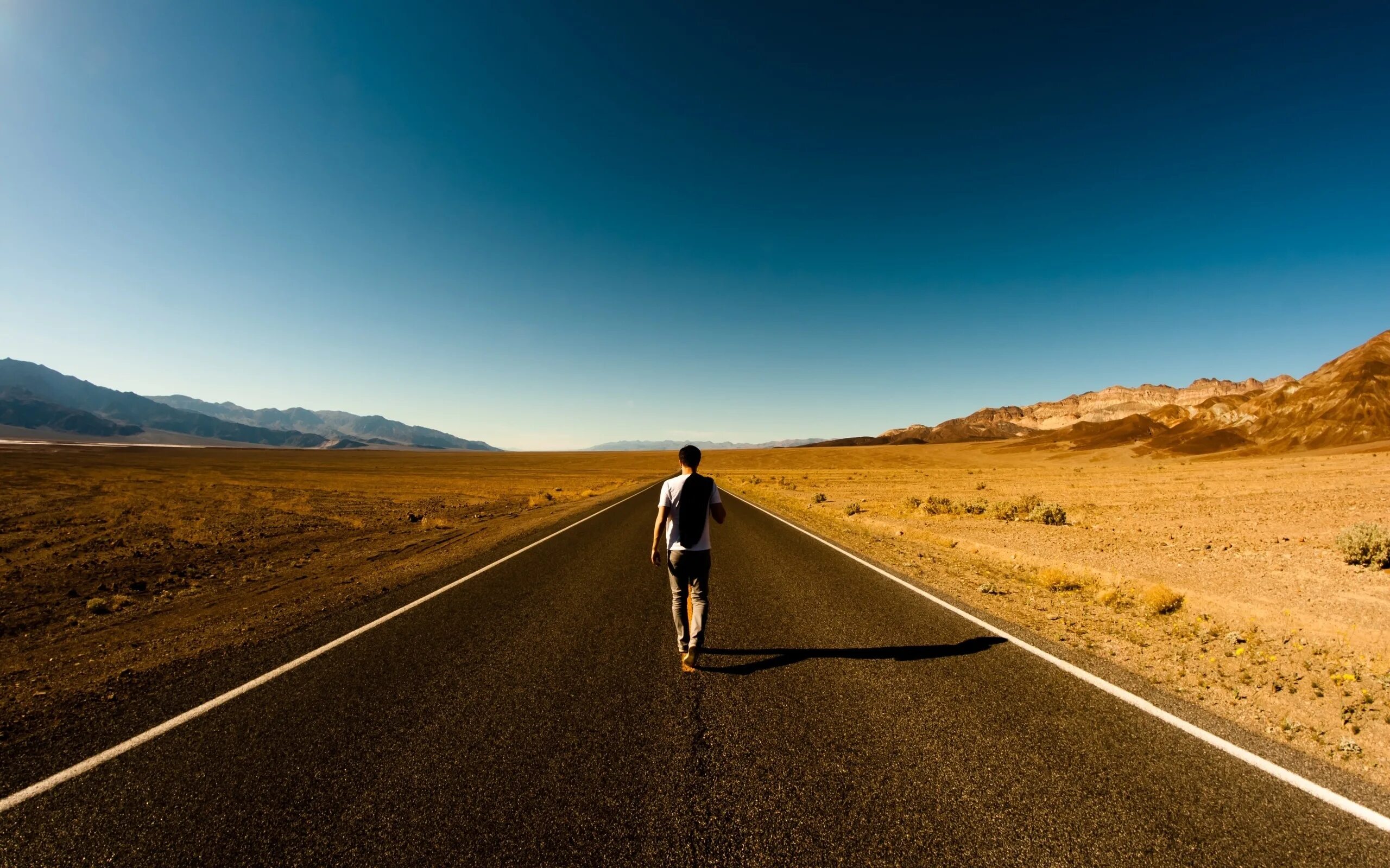 Path to save