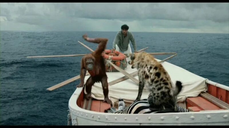 Жизнь пи на реальных событиях. Жизнь пи на реальных событиях. Жизнь пи фильм 2012 тигр. Жизнь пи. Жизнь пи (2012).