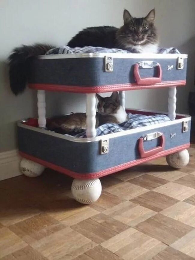 Домик для кошек. Кровать для кошки. Оригинальные домики для кошек. Котенок в кровати. Самодельный кот