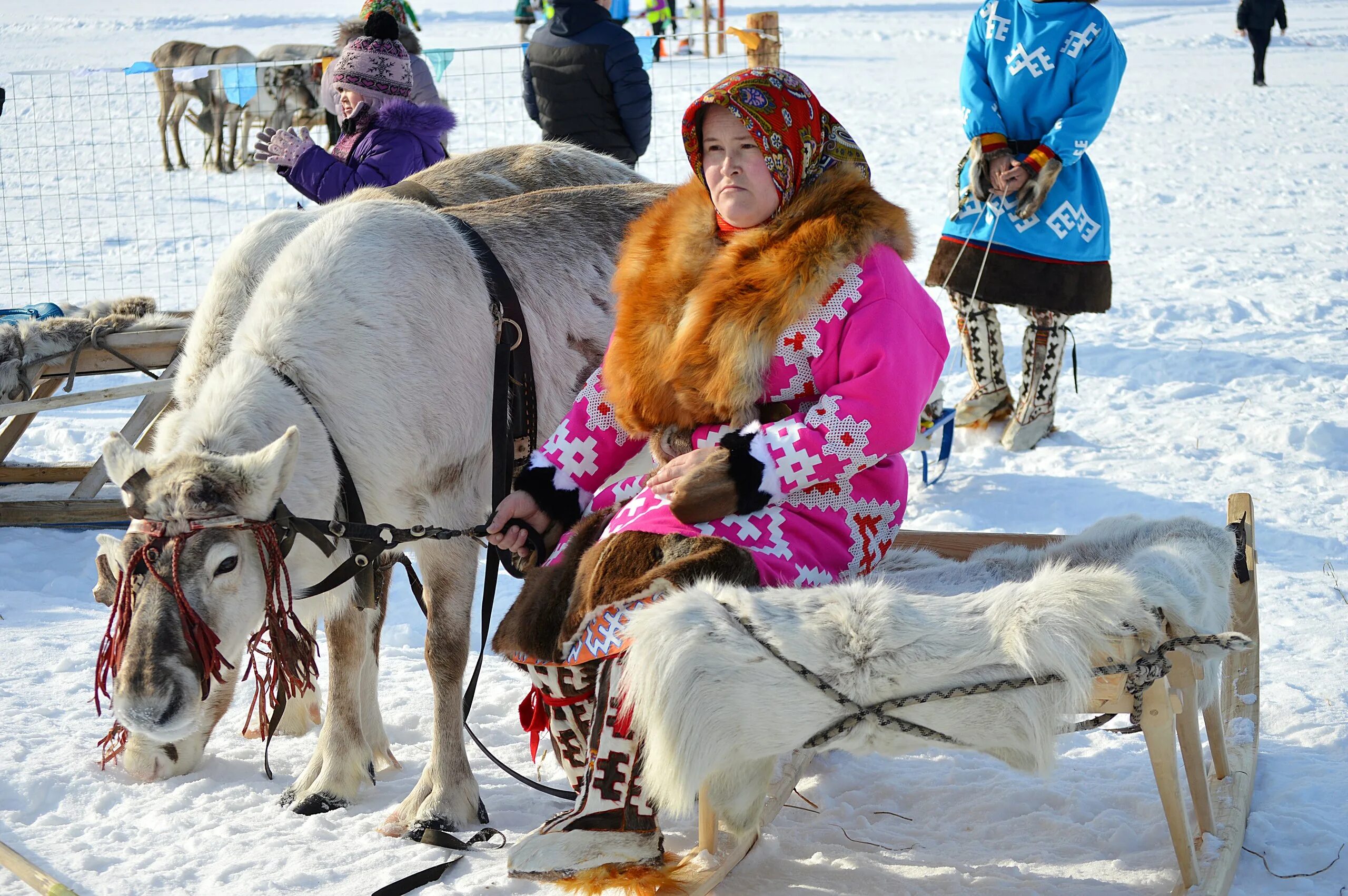 Народы россии манси. Ханты манси оленеводы. Ханты-Мансийск манси. Коренные Ханты и манси. Коренных малочисленных народов севера Ханты.