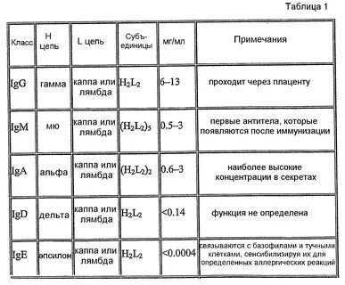 Каппа и лямбда цепи иммуноглобулинов