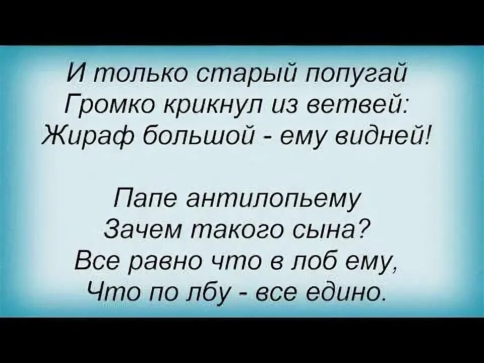 Пластинки высоцкого. Песня высоцкого про африку. Песня жираф большой ему видней. Текст песни высоцкого жираф. Песня жираф большой ему видней.
