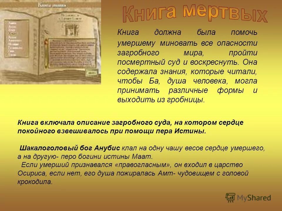 Веды. Структура книги для детей. Книга кладезь знаний. Книги справочники энциклопедии. Первая печатная книга библия гутенберга.