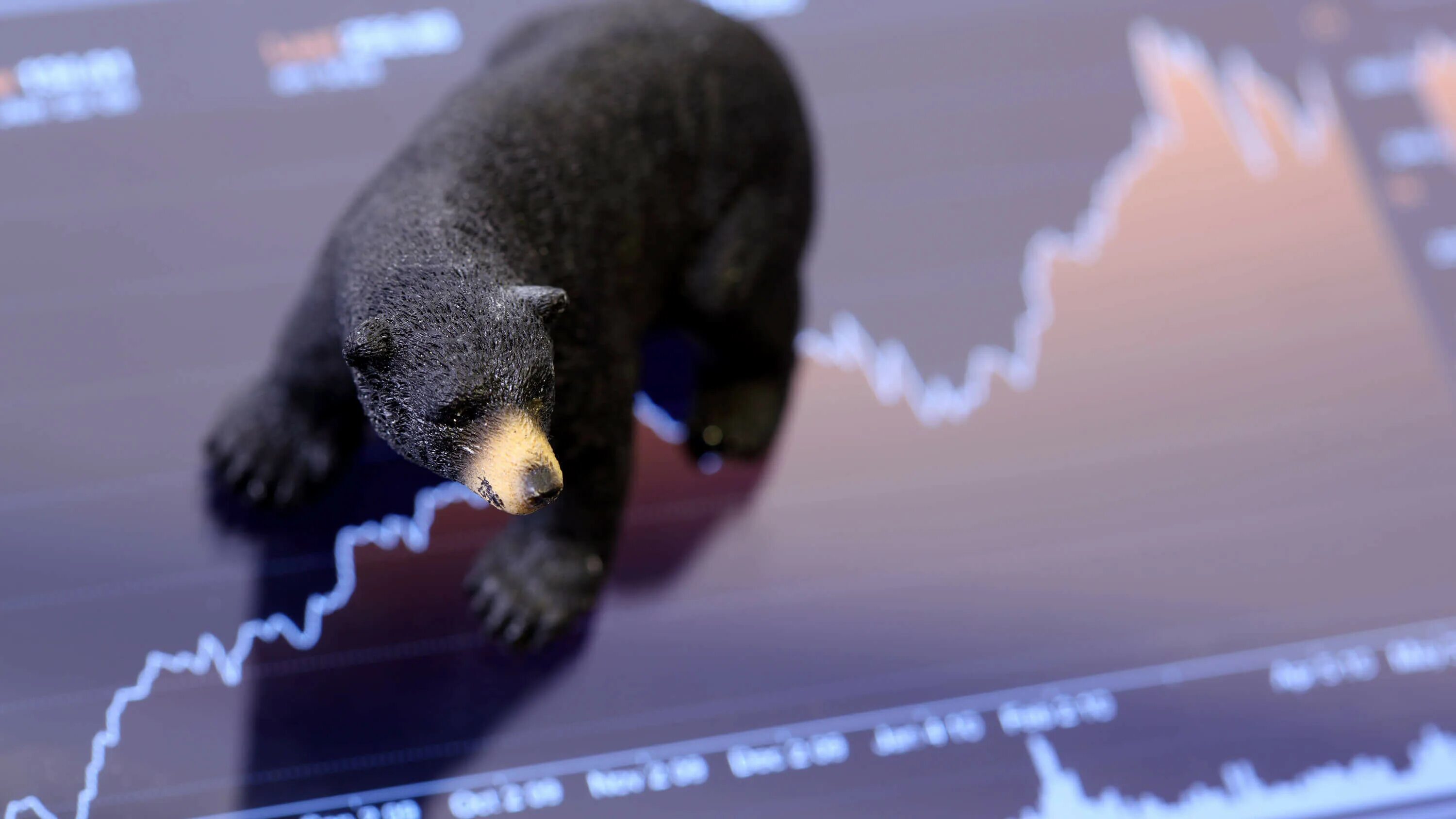 Медведь рынок. Биржевой медведь. Медведь биржа. Медведь фондовый рынок.