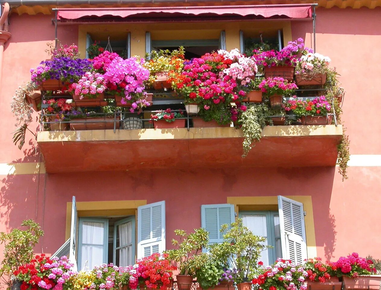 Цветущие балконы. Цветочный балкон. Балкон в цветах. Цветущий балкон. Цветочная дом 4