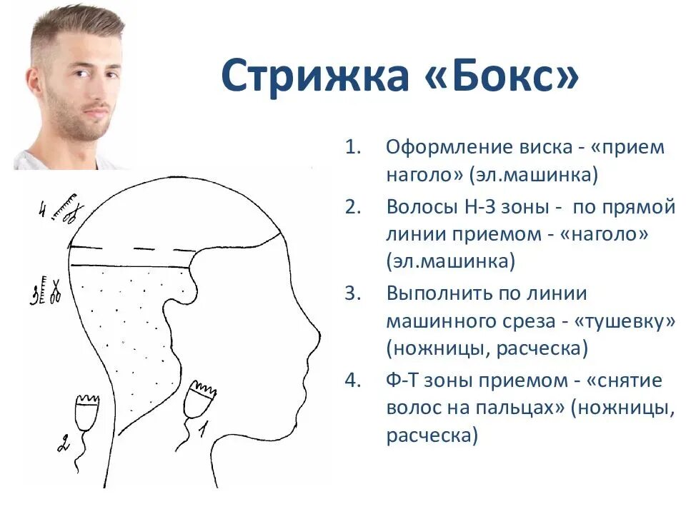 Схема стрижки бокс машинкой. Схемы мужских стрижек бокс и полубокс. Стрижка бокс и полубокс схема выполнения. Технология выполнения стрижки бокс схема. Как стричь мужские стрижки для начинающих