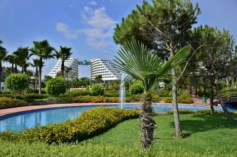 Miracle resort