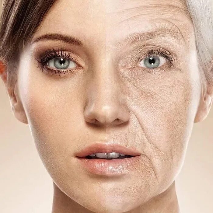 Ageing model