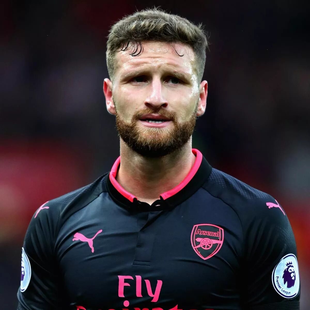 Мустафи. Shkodran Mustafi. Мустафи Арсенал. Mustafi футболист.