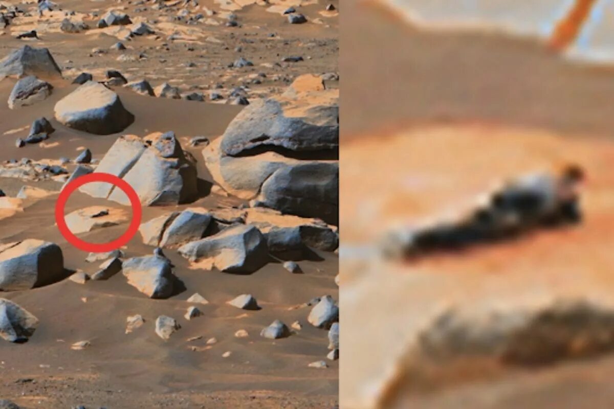 На марсе возможна жизнь. Тайваньский уфолог Скотт Уоринг. Снимки Марса Скотт Уоринг. Снимки НАСА С Марса. Снимки Марса с марсохода 2022.