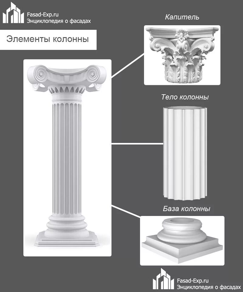 Как называется архитектурный элемент. Элементы базы колонны архитектура. архитектурные детали колонны. элементы колонны в архитектуре. части колонны в архитектуре названия.