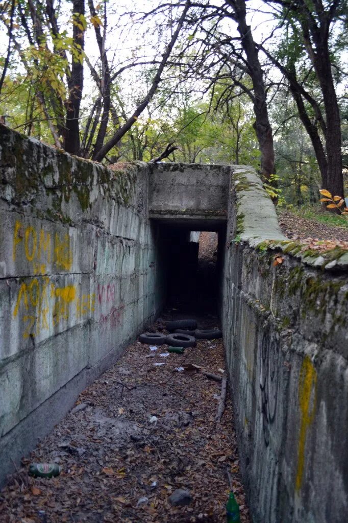 Заброшенный бункер. Заброшка новочеркасск. Бункер в роще новочеркасск. Строительство новочеркасска. Бункер новочеркасск.