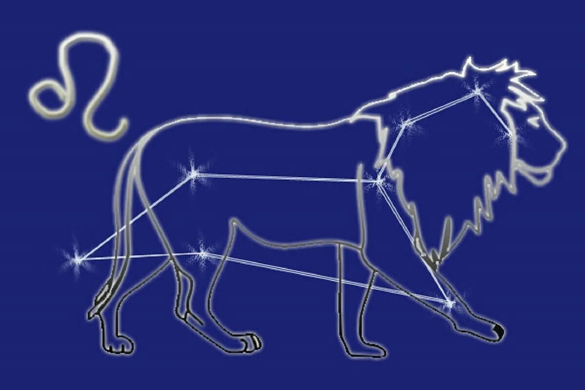 Cung cấp ảnh về 12 chòm sao - 3 Constellation art, Constellations art print, Leo