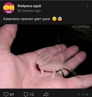 Существо меняющее цвет