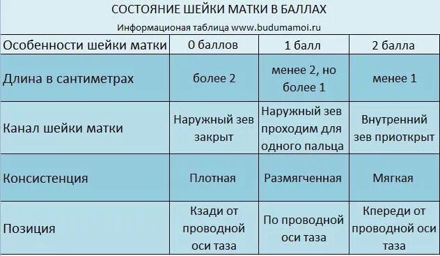 40 недель шейка не готова. Диаметр цервикального канала в норме. Цервикальный канал норма. Длина цервикального канала норма. Шейка матки при беременности.