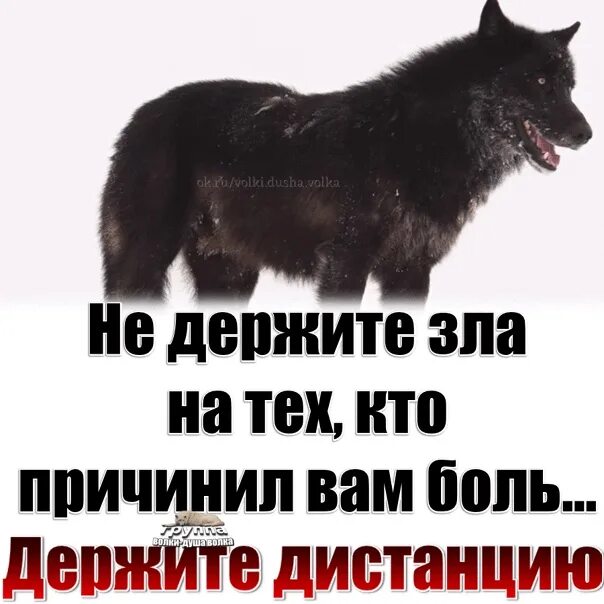 Почему жизнь злая
