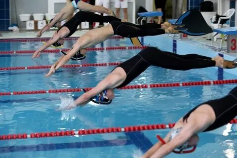 Соревнования по подводному плаванию
