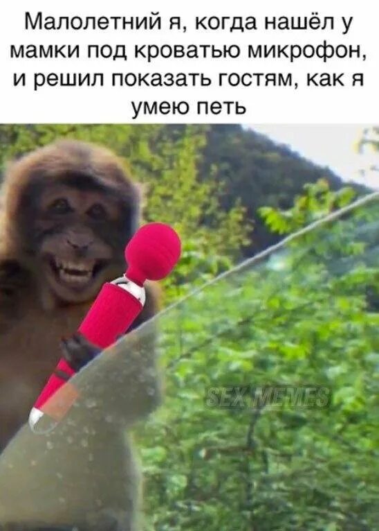 сказки владимира орлова. малыши. как малышу маму нашли. найди маму домашние животные. шутки про микрофон.