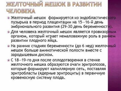 Функции желточного мешка