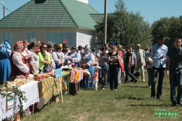 Новопервомайское татарский район новосибирской области. Новопервомайское Новосибирская область. Новопервомайское татарский район. Село Новопервомайское татарского района Новосибирской области. Околица Татарск.