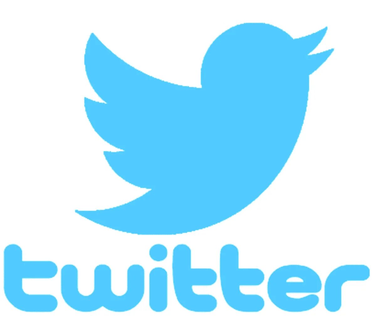 Twitter user. Logo twitter PNG на прозрачном фоне. Facebook Instagram PNG logo. Stick on twitter. Followers.