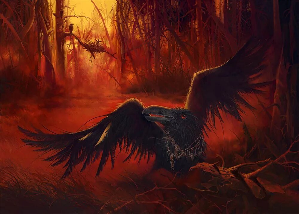 Зловещая птица. Мистические птицы. Мрачные птицы. Черный ворон. Ворон арт.