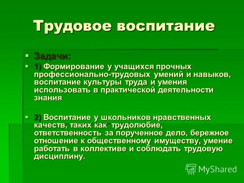 Трудовом воспитание обучающихся