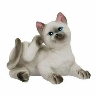 Кошачья оптом