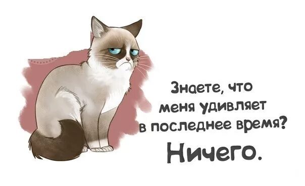 Я уже ничему не удивляюсь. Удивлять цитаты. Цитаты про удивление. Меня ничем не удивить